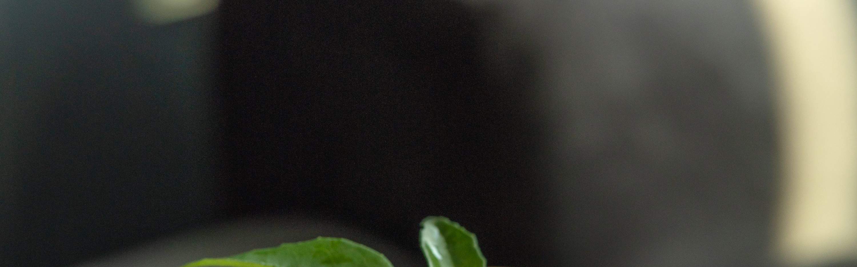 [Tawaran Makan di Hotel] Shenzhen Qianhai JEN Hotel-Pakej\Teh Petang